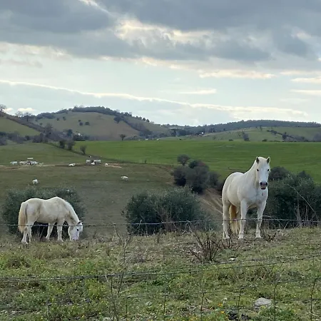 Monte Di Bu 3*