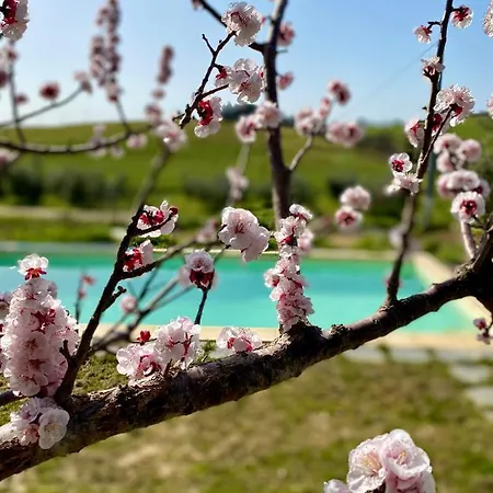 Monte Di Bu Bed & Breakfast