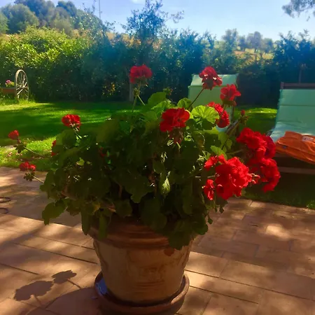 Monte Di Bu Bed & Breakfast 3*