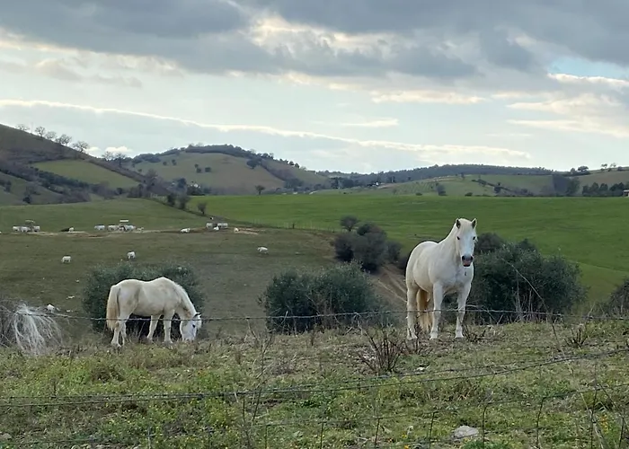 Monte Di Bu 3*