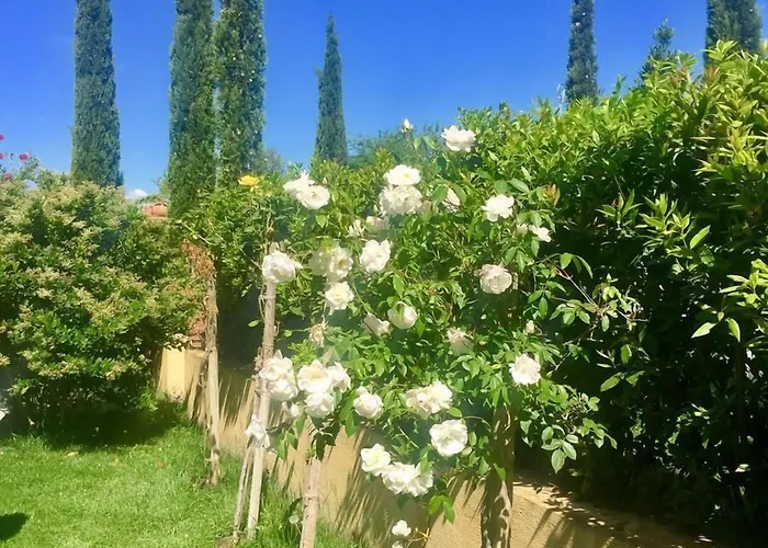 Monte Di Bu فندق مبيت وإفطار 3*