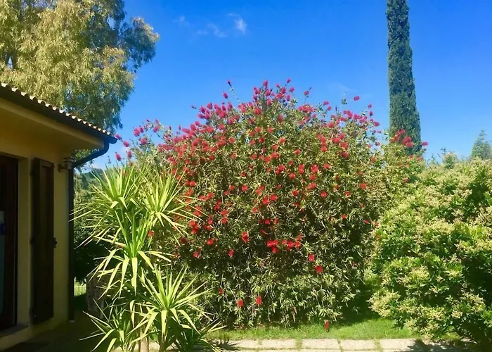 Monte Di Bu فندق مبيت وإفطار Bagno Roselle
