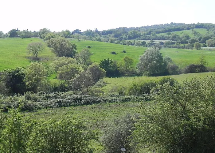 Monte Di Bu Bagno Roselle