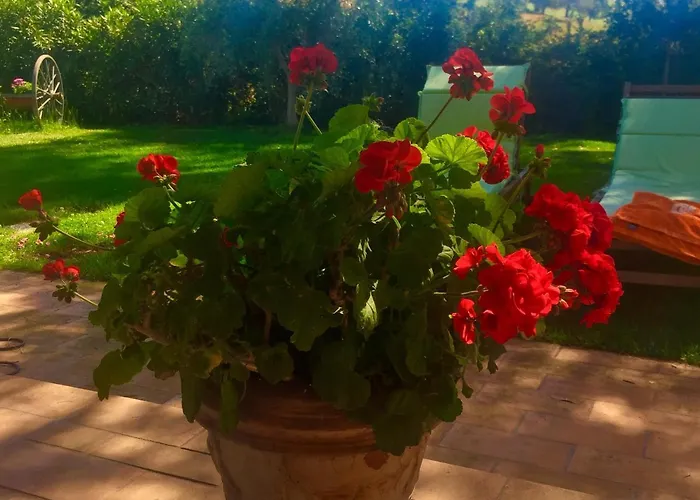 Monte Di Bu فندق مبيت وإفطار 3*